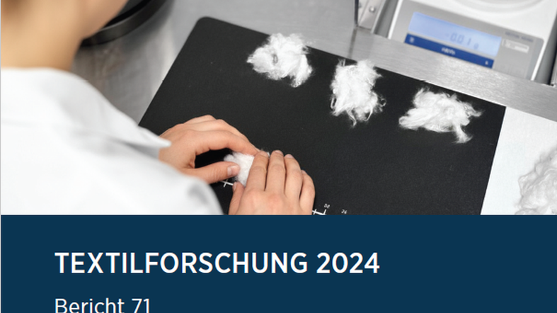 Vorschaubild Forschungsbericht 2024