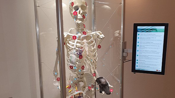 Das Skelett Charlie aus Denkendorf demonstriert die Möglichkeiten für Medizintextilien am und im menschlichen Körper.