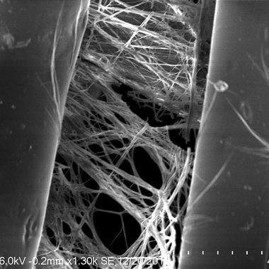Ultrahochauflösendes FE-SEM-Bild von supramolekularen Nanofasern aus N,N'-Dibenzoyl-cystin in einem PET-Vlies (Ausrüstung mit 0,2 Gew.% des supramolekularen Bau