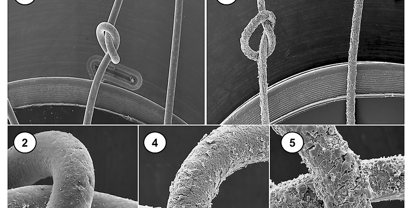 Zentrale Fragestellung des Projektes; REM-Aufnahmen nicht keramisierter (1,2) und keramisierter Magnesiumdrähte verschiedener Schichtdicken (3 - 5)