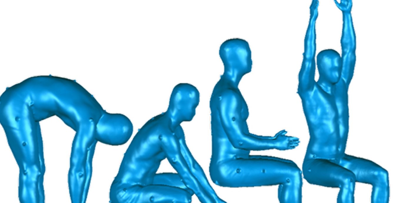 Die Variabilität von Körpermaßen wurde erforscht. Dabei stand die 3D-Analyse der Körpermaße von Frauen und Männern in verschiedenen Körperhaltungen mittels 3D-B
